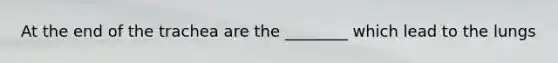 At the end of the trachea are the ________ which lead to the lungs