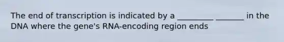 The end of transcription is indicated by a _________ _______ in the DNA where the gene's RNA-encoding region ends