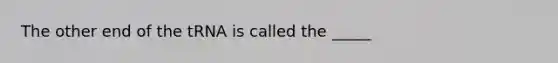 The other end of the tRNA is called the _____