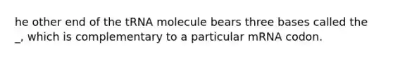 he other end of the tRNA molecule bears three bases called the _, which is complementary to a particular mRNA codon.