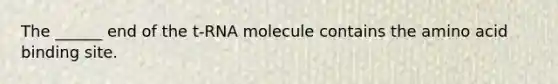 The ______ end of the t-RNA molecule contains the amino acid binding site.