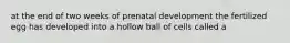 at the end of two weeks of prenatal development the fertilized egg has developed into a hollow ball of cells called a