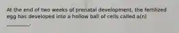 At the end of two weeks of prenatal development, the fertilized egg has developed into a hollow ball of cells called a(n) _________.