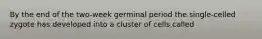 By the end of the two-week germinal period the single-celled zygote has developed into a cluster of cells called