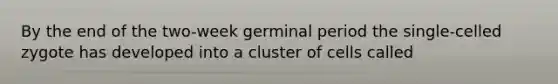 By the end of the two-week germinal period the single-celled zygote has developed into a cluster of cells called