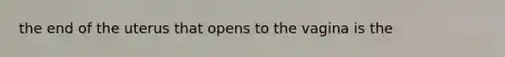 the end of the uterus that opens to the vagina is the