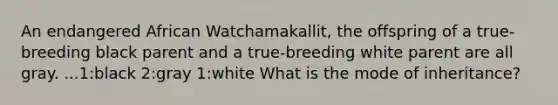 An endangered African Watchamakallit, the offspring of a true-breeding black parent and a true-breeding white parent are all gray. ...1:black 2:gray 1:white What is the mode of inheritance?