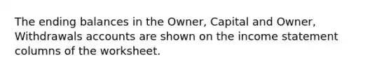 The ending balances in the​ Owner, Capital and​ Owner, Withdrawals accounts are shown on the income statement columns of the worksheet.