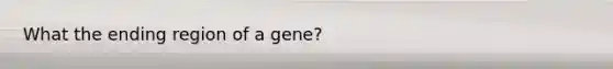 What the ending region of a gene?