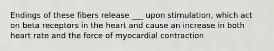 Endings of these fibers release ___ upon stimulation, which act on beta receptors in <a href='https://www.questionai.com/knowledge/kya8ocqc6o-the-heart' class='anchor-knowledge'>the heart</a> and cause an increase in both heart rate and the force of myocardial contraction