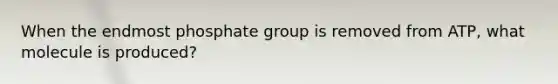 When the endmost phosphate group is removed from ATP, what molecule is produced?