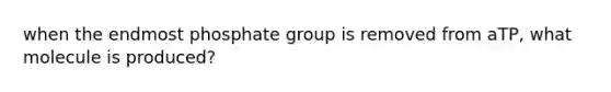 when the endmost phosphate group is removed from aTP, what molecule is produced?