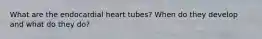 What are the endocardial heart tubes? When do they develop and what do they do?