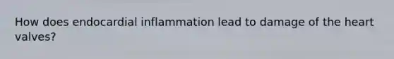 How does endocardial inflammation lead to damage of <a href='https://www.questionai.com/knowledge/kya8ocqc6o-the-heart' class='anchor-knowledge'>the heart</a> valves?