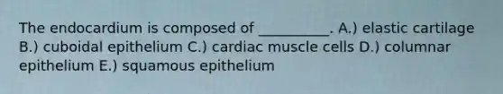 The endocardium is composed of __________. A.) elastic cartilage B.) cuboidal epithelium C.) cardiac muscle cells D.) columnar epithelium E.) squamous epithelium