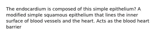 The endocardium is composed of this simple epithelium? A modified simple squamous epithelium that lines the inner surface of blood vessels and the heart. Acts as the blood heart barrier