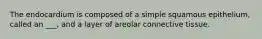 The endocardium is composed of a simple squamous epithelium, called an ___, and a layer of areolar connective tissue.
