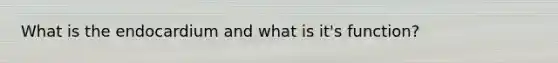 What is the endocardium and what is it's function?