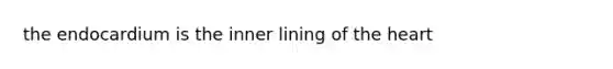 the endocardium is the inner lining of the heart