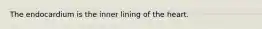 The endocardium is the inner lining of the heart.