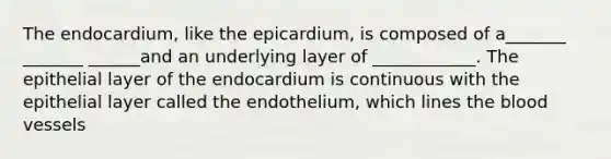 The endocardium, like the epicardium, is composed of a_______ _______ ______and an underlying layer of ____________. The epithelial layer of the endocardium is continuous with the epithelial layer called the endothelium, which lines the blood vessels