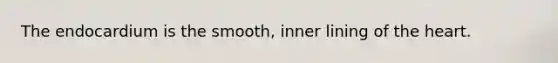 The endocardium is the smooth, inner lining of the heart.