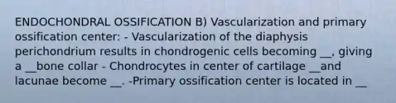 ENDOCHONDRAL OSSIFICATION B) Vascularization and primary ossification center: - Vascularization of the diaphysis perichondrium results in chondrogenic cells becoming __, giving a __bone collar - Chondrocytes in center of cartilage __and lacunae become __. -Primary ossification center is located in __