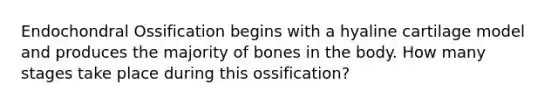 Endochondral Ossification begins with a hyaline cartilage model and produces the majority of bones in the body. How many stages take place during this ossification?