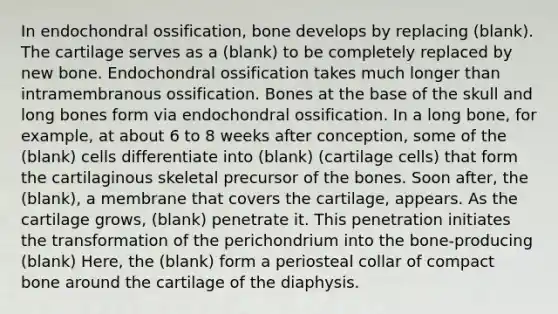 In endochondral ossification, bone develops by replacing (blank). The cartilage serves as a (blank) to be completely replaced by new bone. Endochondral ossification takes much longer than intramembranous ossification. Bones at the base of the skull and long bones form via endochondral ossification. In a long bone, for example, at about 6 to 8 weeks after conception, some of the (blank) cells differentiate into (blank) (cartilage cells) that form the cartilaginous skeletal precursor of the bones. Soon after, the (blank), a membrane that covers the cartilage, appears. As the cartilage grows, (blank) penetrate it. This penetration initiates the transformation of the perichondrium into the bone-producing (blank) Here, the (blank) form a periosteal collar of compact bone around the cartilage of the diaphysis.