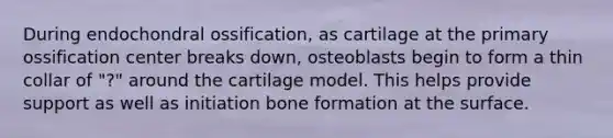 During endochondral ossification, as cartilage at the primary ossification center breaks down, osteoblasts begin to form a thin collar of "?" around the cartilage model. This helps provide support as well as initiation bone formation at the surface.