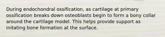 During endochondral ossification, as cartilage at primary ossification breaks down osteoblasts begin to form a bony collar around the cartilage model. This helps provide support as initating bone formation at the surface.