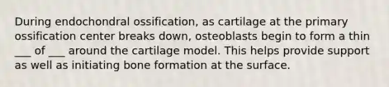 During endochondral ossification, as cartilage at the primary ossification center breaks down, osteoblasts begin to form a thin ___ of ___ around the cartilage model. This helps provide support as well as initiating bone formation at the surface.