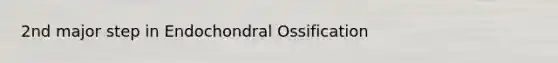 2nd major step in Endochondral Ossification