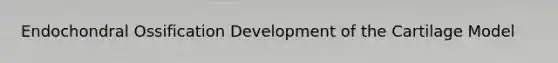 Endochondral Ossification Development of the Cartilage Model