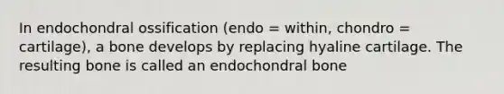 In endochondral ossification (endo = within, chondro = cartilage), a bone develops by replacing hyaline cartilage. The resulting bone is called an endochondral bone