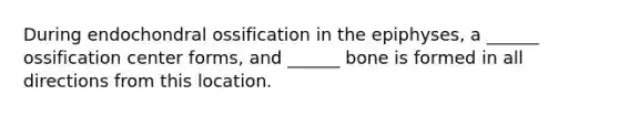 During endochondral ossification in the epiphyses, a ______ ossification center forms, and ______ bone is formed in all directions from this location.