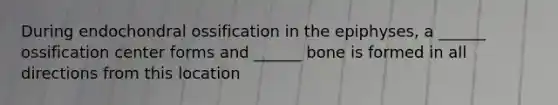 During endochondral ossification in the epiphyses, a ______ ossification center forms and ______ bone is formed in all directions from this location