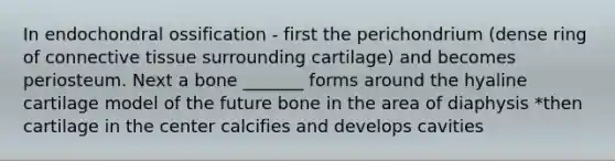 In endochondral ossification - first the perichondrium (dense ring of connective tissue surrounding cartilage) and becomes periosteum. Next a bone _______ forms around the hyaline cartilage model of the future bone in the area of diaphysis *then cartilage in the center calcifies and develops cavities