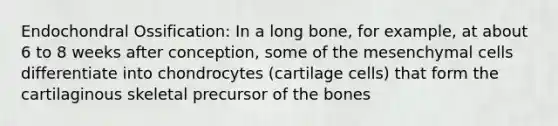 Endochondral Ossification: In a long bone, for example, at about 6 to 8 weeks after conception, some of the mesenchymal cells differentiate into chondrocytes (cartilage cells) that form the cartilaginous skeletal precursor of the bones