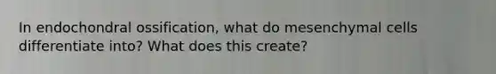 In endochondral ossification, what do mesenchymal cells differentiate into? What does this create?
