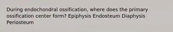 During endochondral ossification, where does the primary ossification center form? Epiphysis Endosteum Diaphysis Periosteum