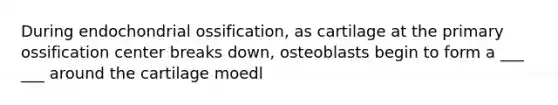 During endochondrial ossification, as cartilage at the primary ossification center breaks down, osteoblasts begin to form a ___ ___ around the cartilage moedl