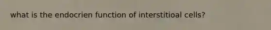 what is the endocrien function of interstitioal cells?