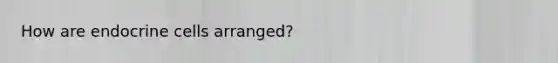 How are endocrine cells arranged?