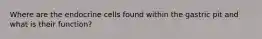 Where are the endocrine cells found within the gastric pit and what is their function?