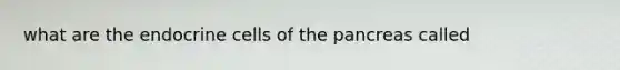 what are the endocrine cells of the pancreas called