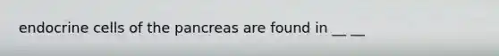 endocrine cells of the pancreas are found in __ __
