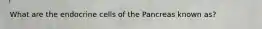 What are the endocrine cells of the Pancreas known as?