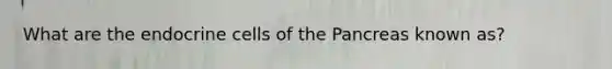What are the endocrine cells of the Pancreas known as?