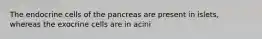 The endocrine cells of the pancreas are present in islets, whereas the exocrine cells are in acini